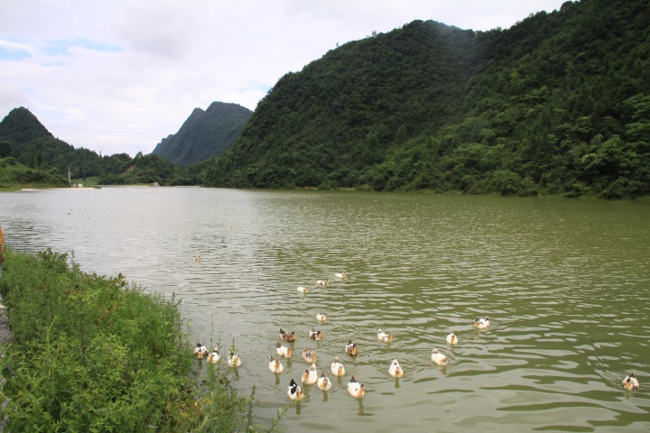 é�Ӳ�1��ʪ��