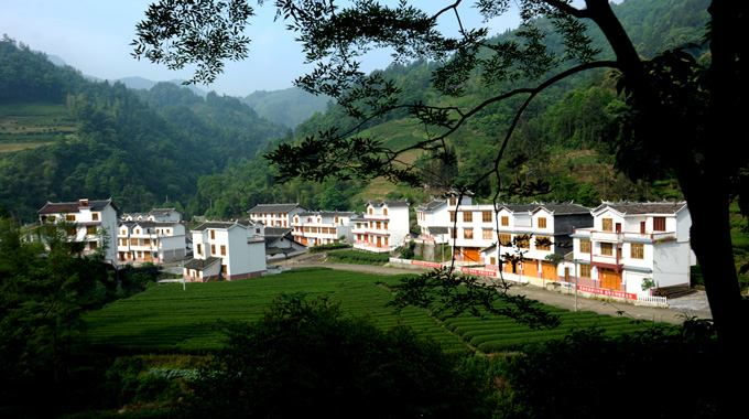 �Ž���ũ�彨��