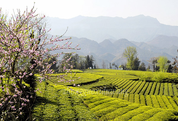 ��ʫ�续�����£�ͼ��