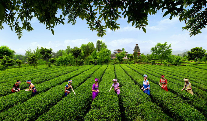 �����´�����԰