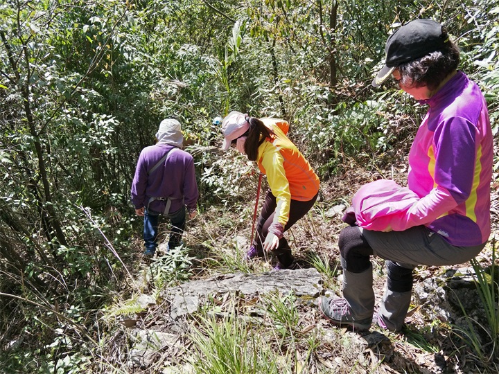 ͽ��̽����