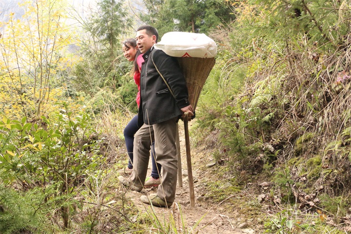 Ͽ����ı���