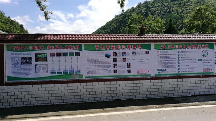 ���ſ�����������