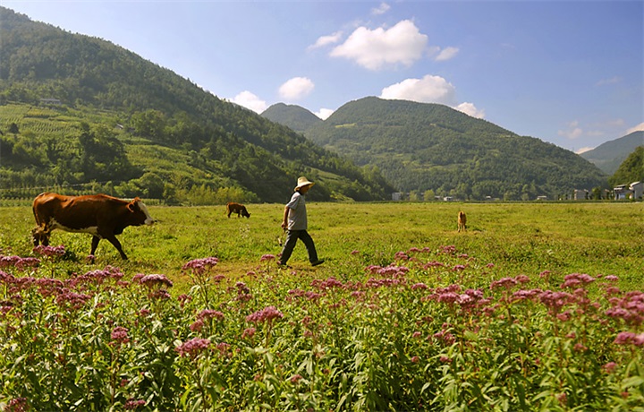 �����Ǹ��õط�