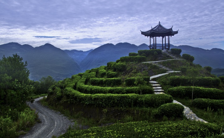 �����Ÿ� ���²���ȫ��