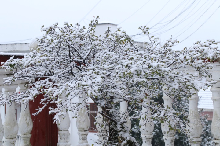 ����İ���