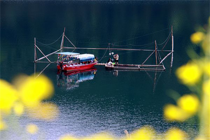 ��̬����