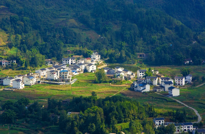 ���Ӷɴ���ɫ���Ⱥ��ȫ����Ӿ����ա���...