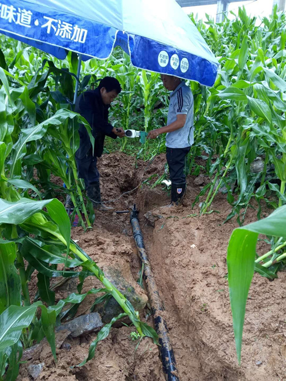 ����ƺ�������б��ߵġ����ڲ���