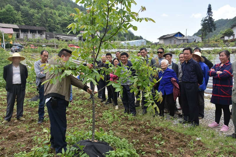 �޼Ұӣ�ר���ͼ�����䣨ͼ��</TRS_DOCUMENT>