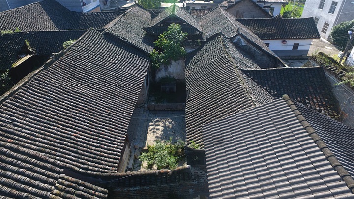 �������ʨ���ݳ�