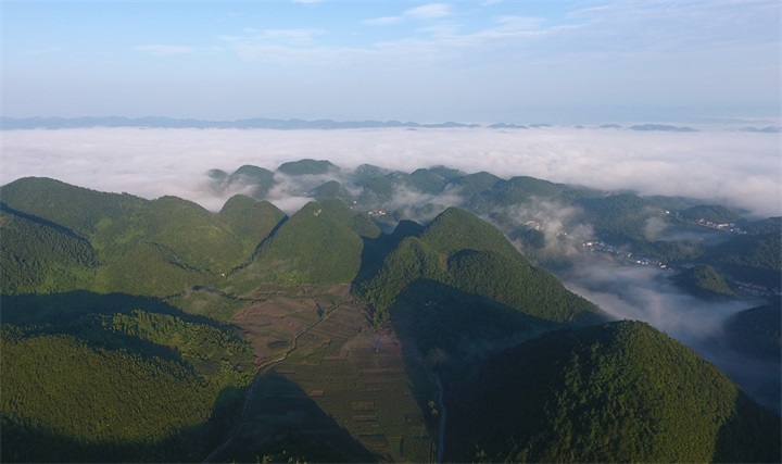 ���Ĺ�����  ��과��