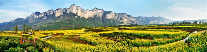 ���կկ�Ǿ������Ҽһ����Ǳ��ݡ����˸�...