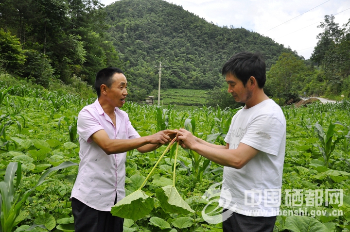 ��ҩ�����¸���ͼ��