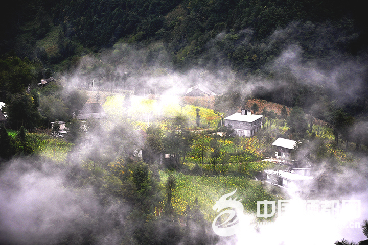 ���Ƶ�����������ķ���