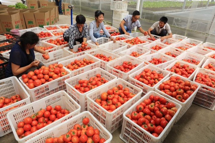 ��������ϲ�����