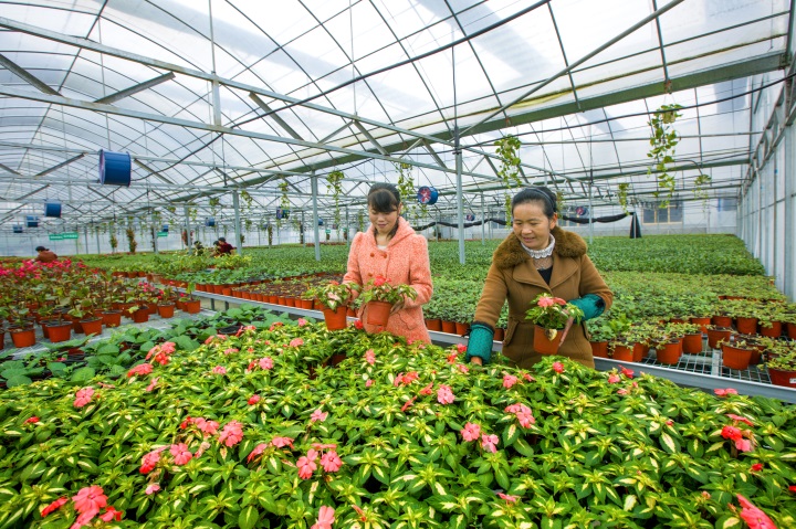 ���ܲ�ҵ�����ܱ�ũ����ƶ�¸�