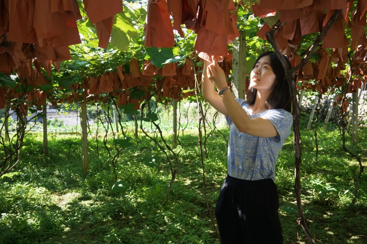 �������ѷ�������