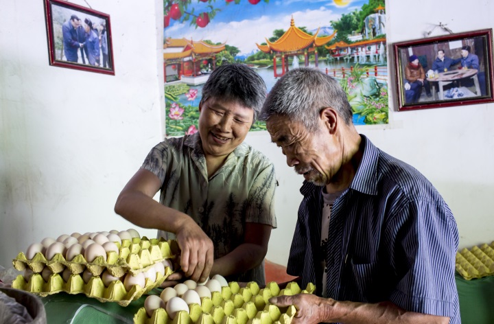 �����������Ҽ�