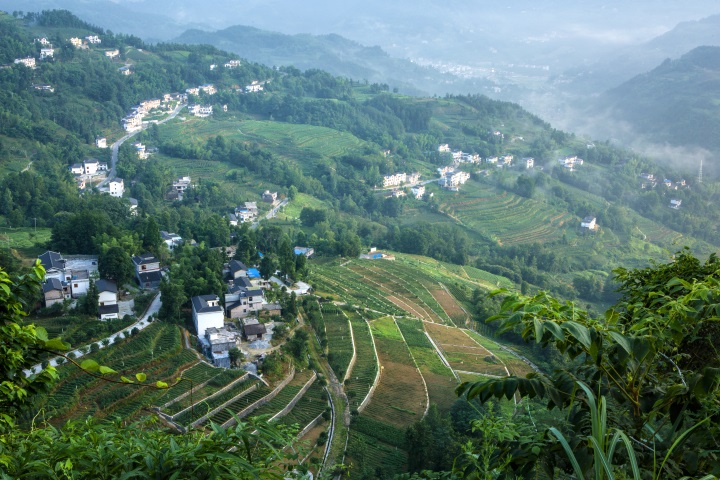 �����ۺ�������ı���