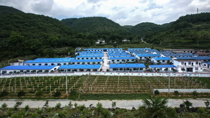 ��ֳ��ҵ������Ч