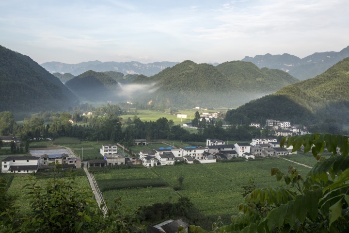 ���������౤