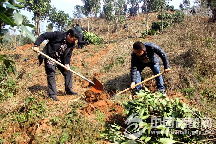 ����ͤ��������������ɫ��ͼ��