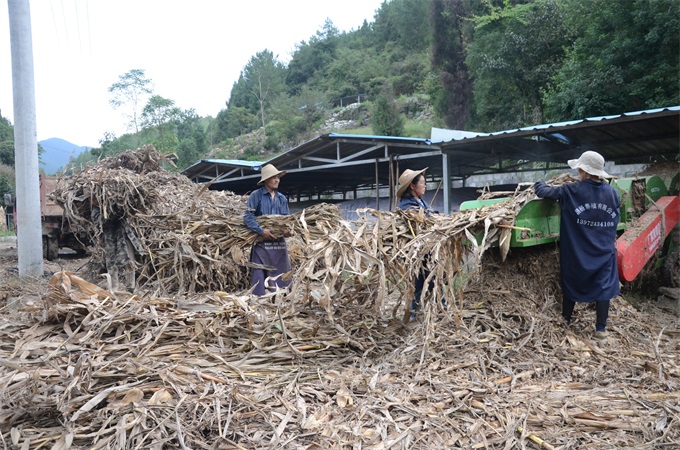 ������չ���չ���  �����ƹ���������