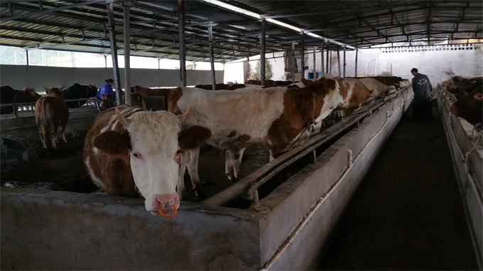 ������ҵ��չѸ��