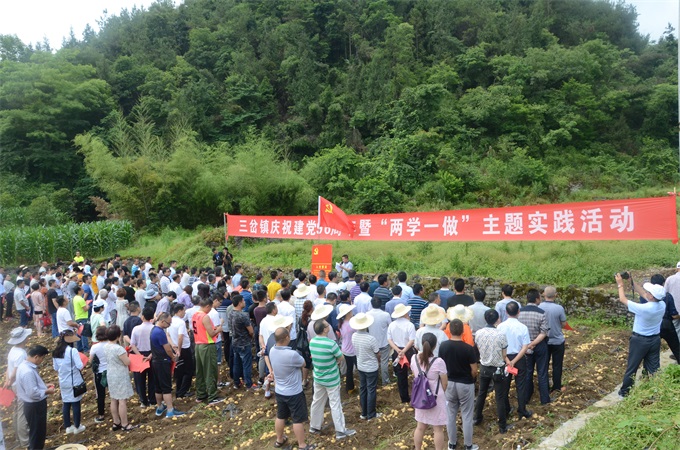 ����ѧһ������� �������㵳������