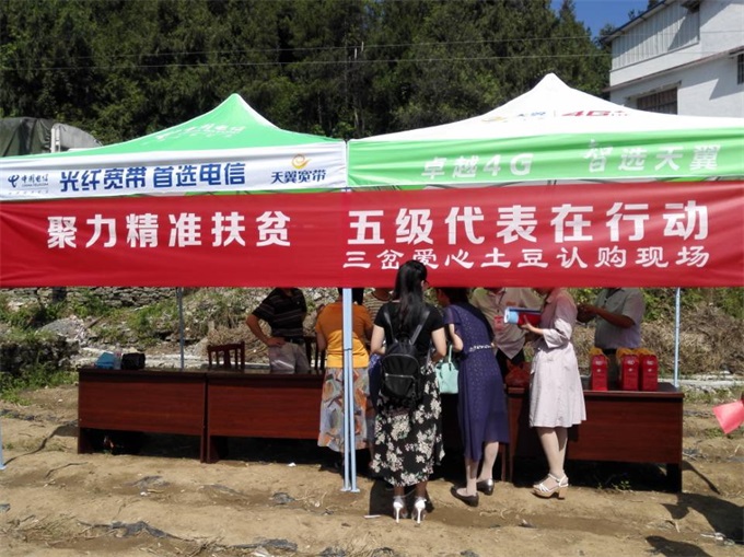 ���弶�������ж����Ϲ���������