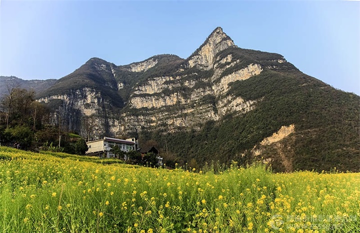 �羰��߶���