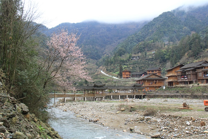 ����ӣ��������