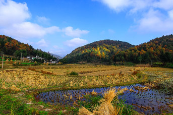 ����ʢ��