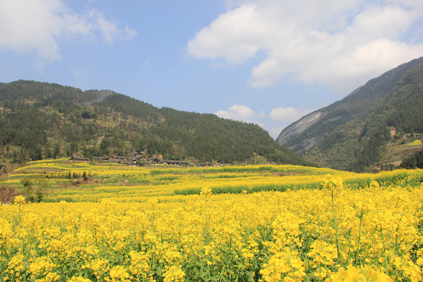 ���̲˻���