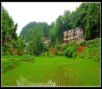 ϣ���ĵ���