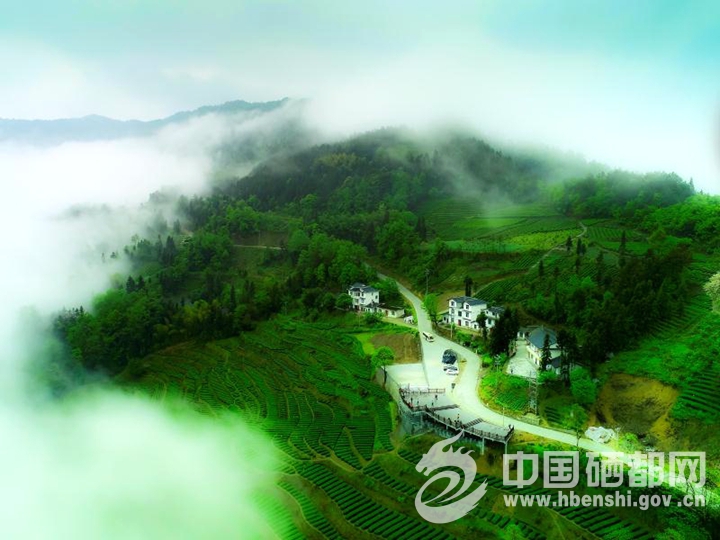 ��֦ɽ֮��һһ������˵��ͱ�����