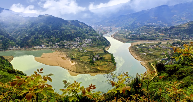 ��԰�ͱ�����Ũ