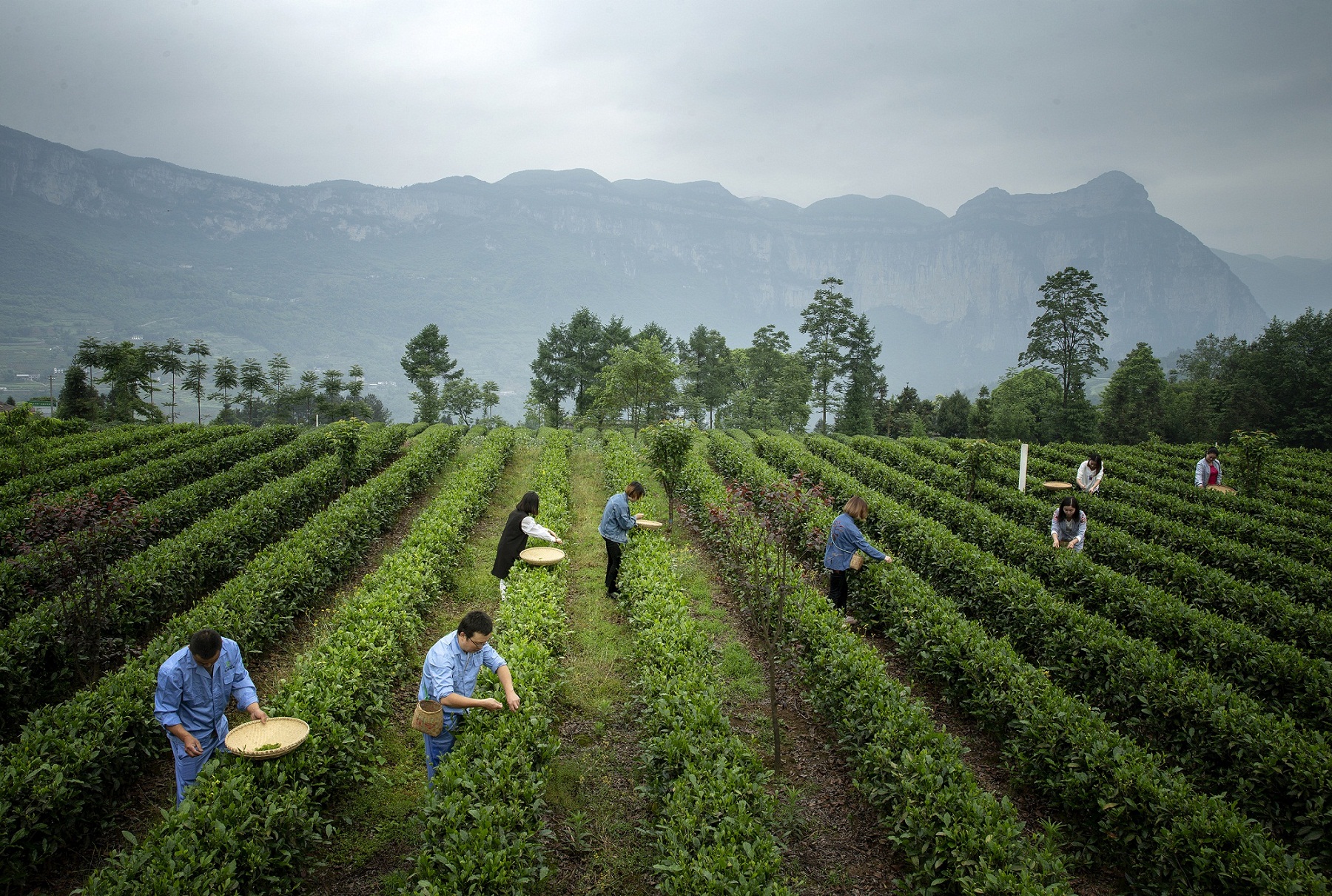 ����¶�������˲ɲ�