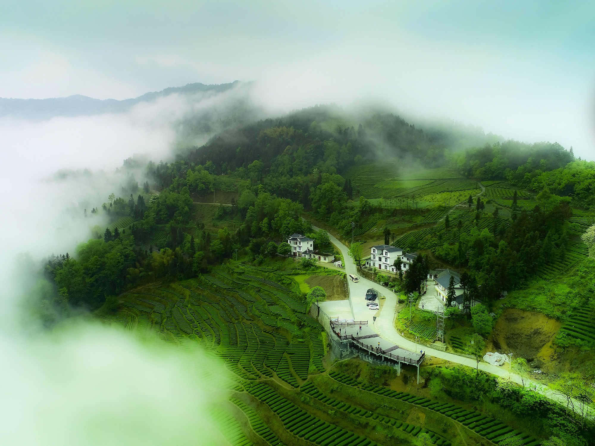 �������