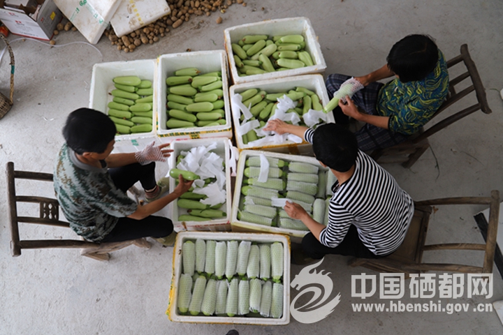 ̫���ӡ��Ͳ裫�̲裫X���ؿ�ũ���¸�·