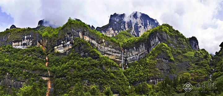 ��ֹ��ٲ�Ⱥ