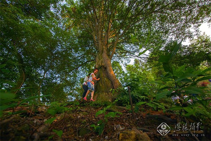 �춹ɼ ����