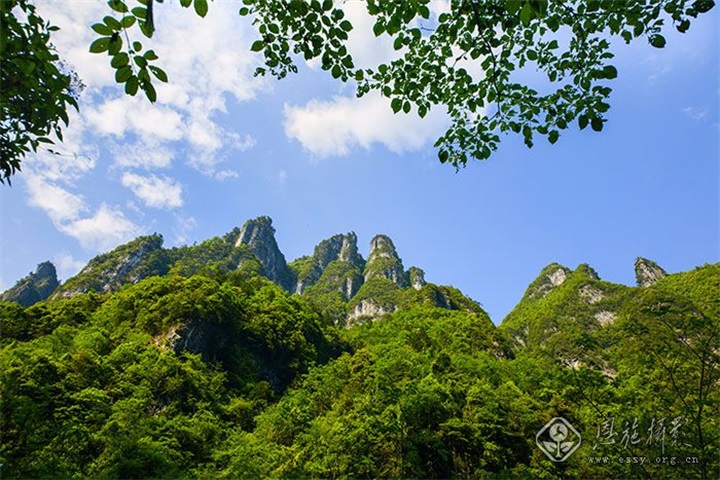 ��ɽ�ӷ���  ����