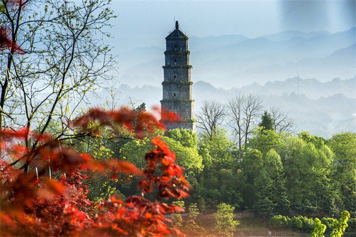 ���ɽ������