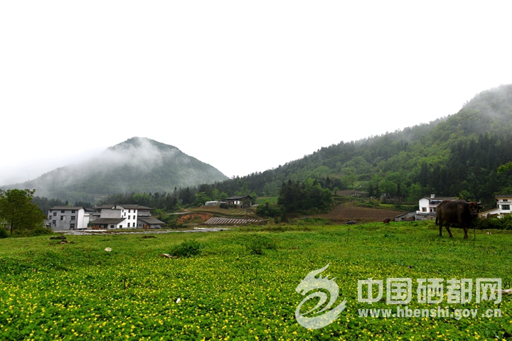 ���߽�ǰƺ��ǰƺ��ľ����ӱ�