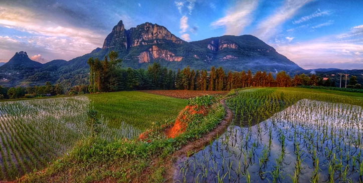 ������ͷ������������÷��