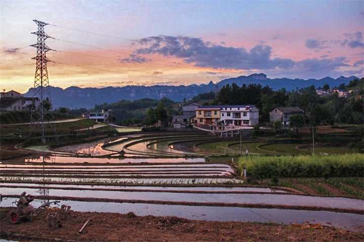 ��ϼ��ˮ����