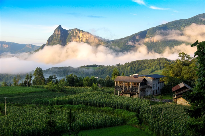 �����層ɽ